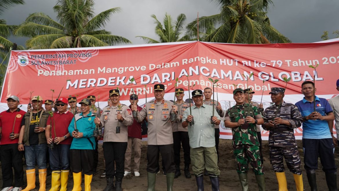 Tanam Puluhan Ribu Pohon Mangrove, Kapolda Sulbar Wujudkan Semangat Kemerdekaan Dan Dukung Pelestarian Lingkungan