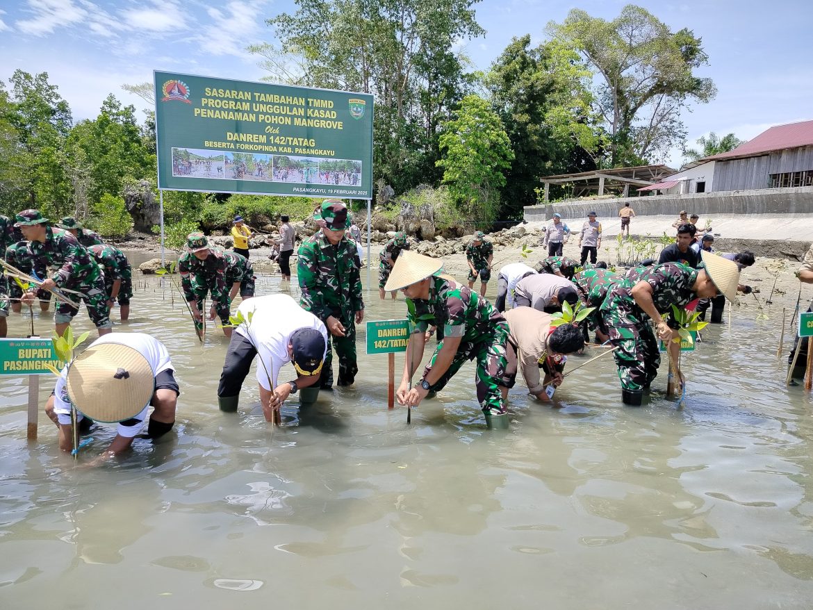 Sasaran Tambahan TMMD: Penanaman 1.300 Pohon Mangrove Di Desa Sarudu