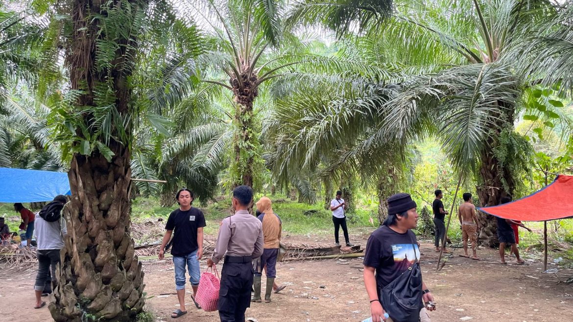 Polres Mateng Tindak Judi Sabung Ayam Di Desa Batu Parigi Dalam Operasi Pekat-Marano 2025