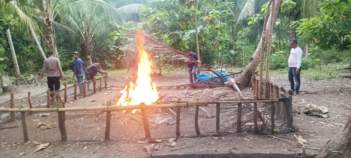 Polsek Tinambung Gerebek Arena Sabung Ayam Ilegal, Sarana Dibakar!