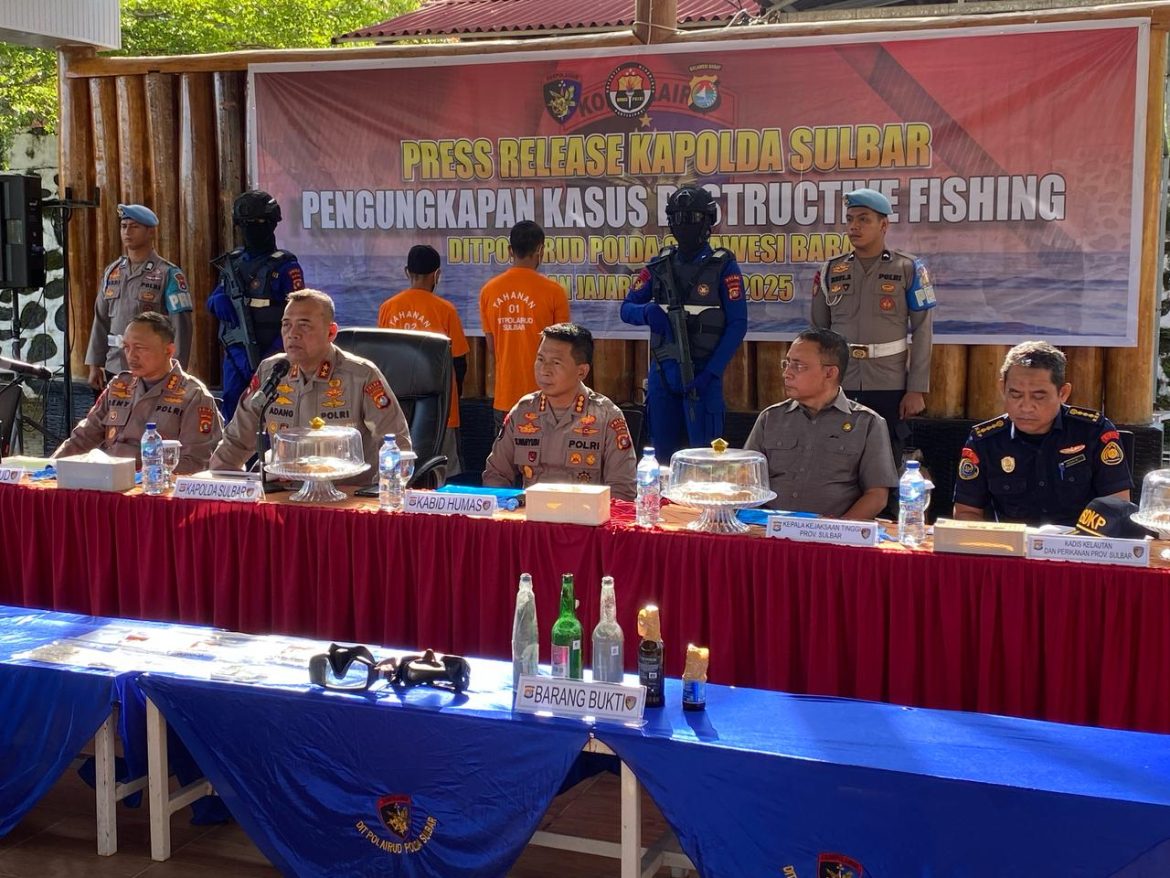 Polda Sulbar Bekuk Pelaku Destructive Fishing, Sita Bom Ikan dan Ratusan Ekor Ikan Mati
