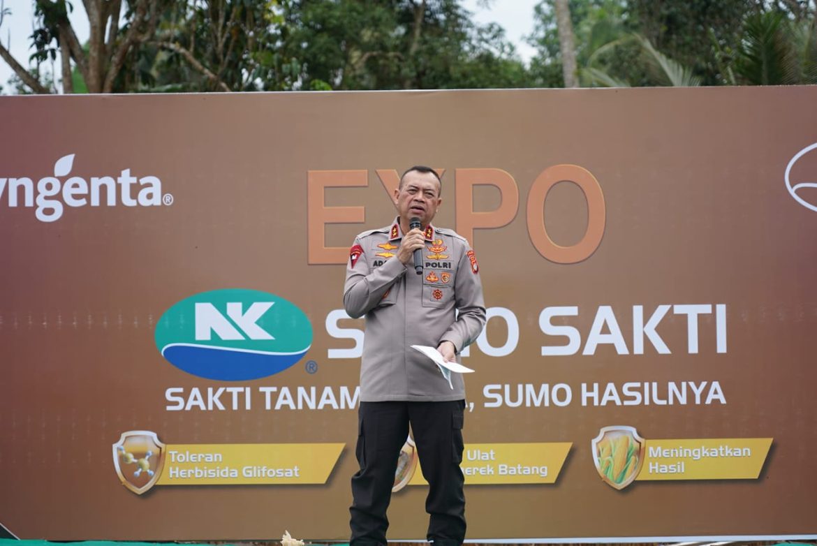 Expo dan Panen Raya di Tommo: Kapolda Sulbar Dorong Peningkatan Pertanian dengan Pendekatan Keamanan Pangan