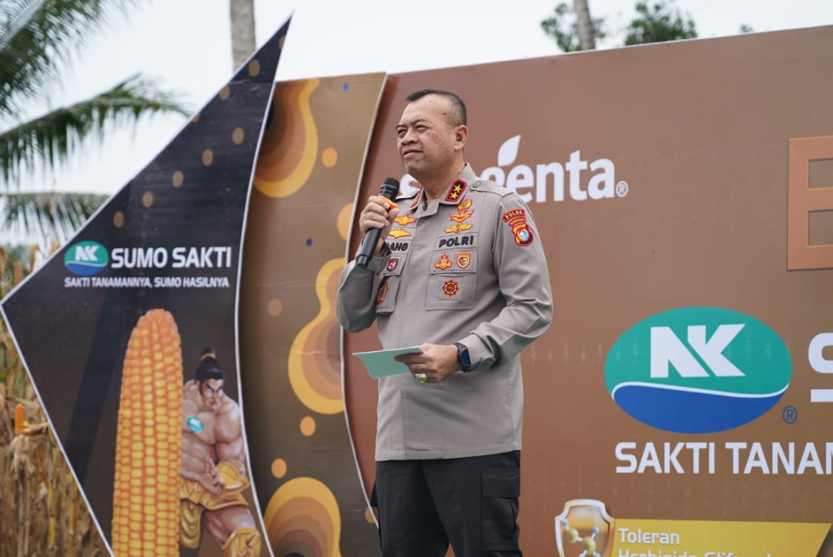 Panen Harapan di Tommo: Kapolda Sulbar Dukung Petani Bangun Ketahanan Pangan
