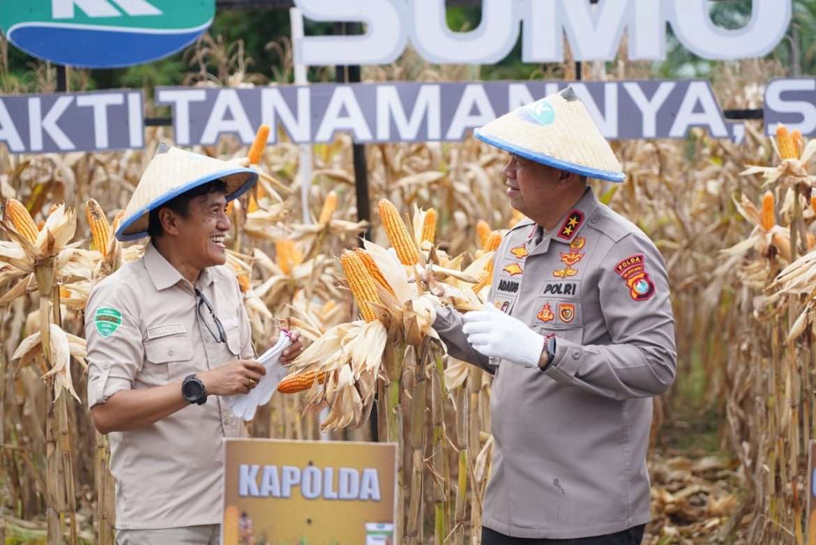 Kapolda Turun Sawah: Dukung Petani, Jaga Pangan