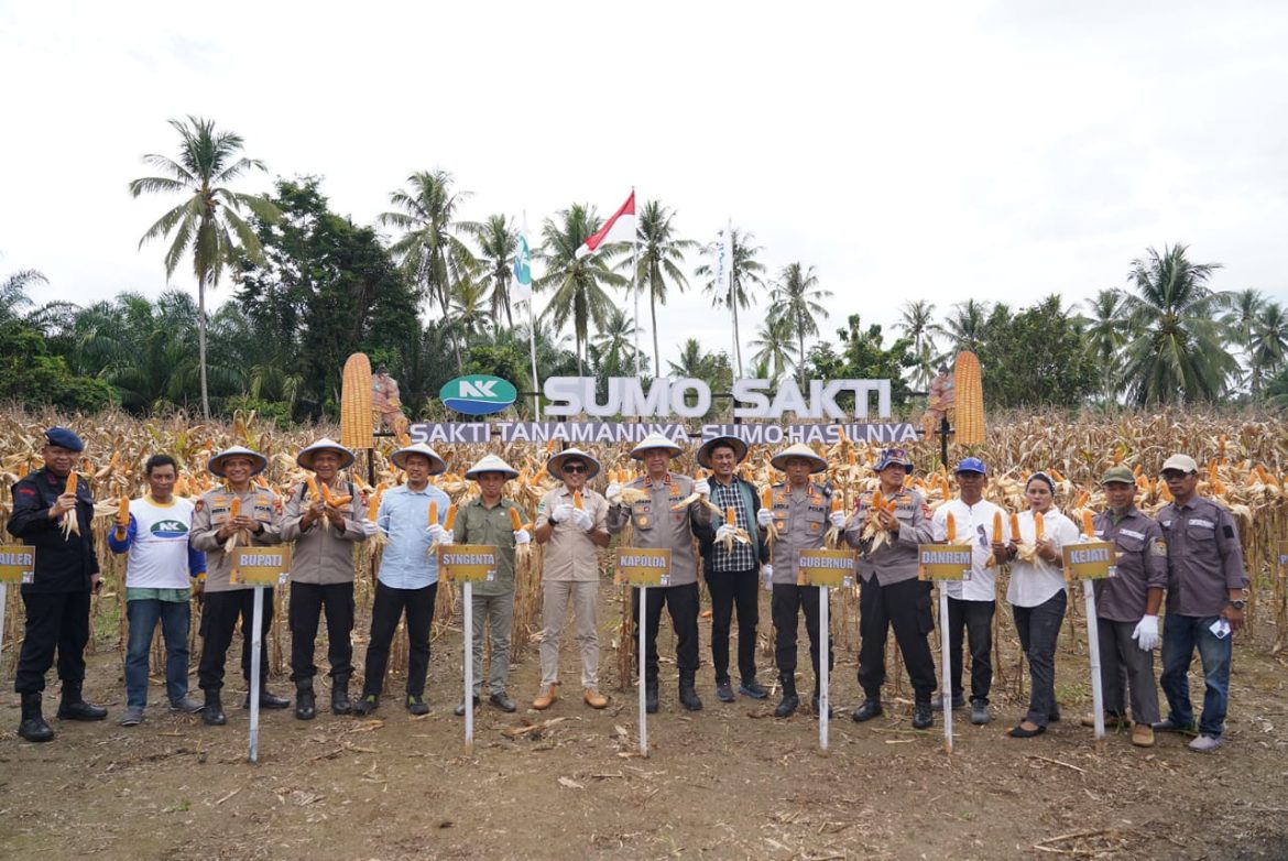 Kapolda dan Petani, Bersama Jaga Pangan Sulbar