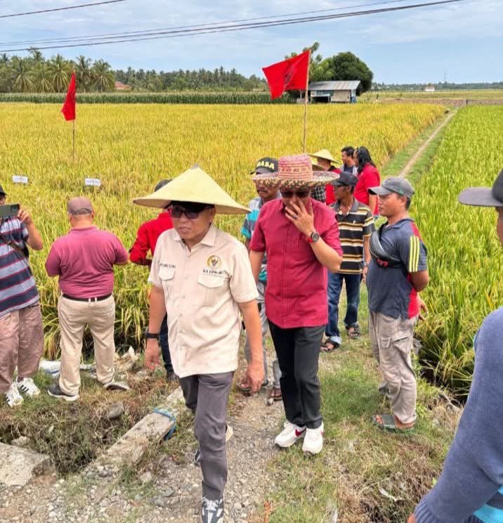 Anggota DPR-RI Agus Ambo Djiwa Lakukan Kunjungan Kerja Di Kalukku, Sukseskan  Program Presiden RI 