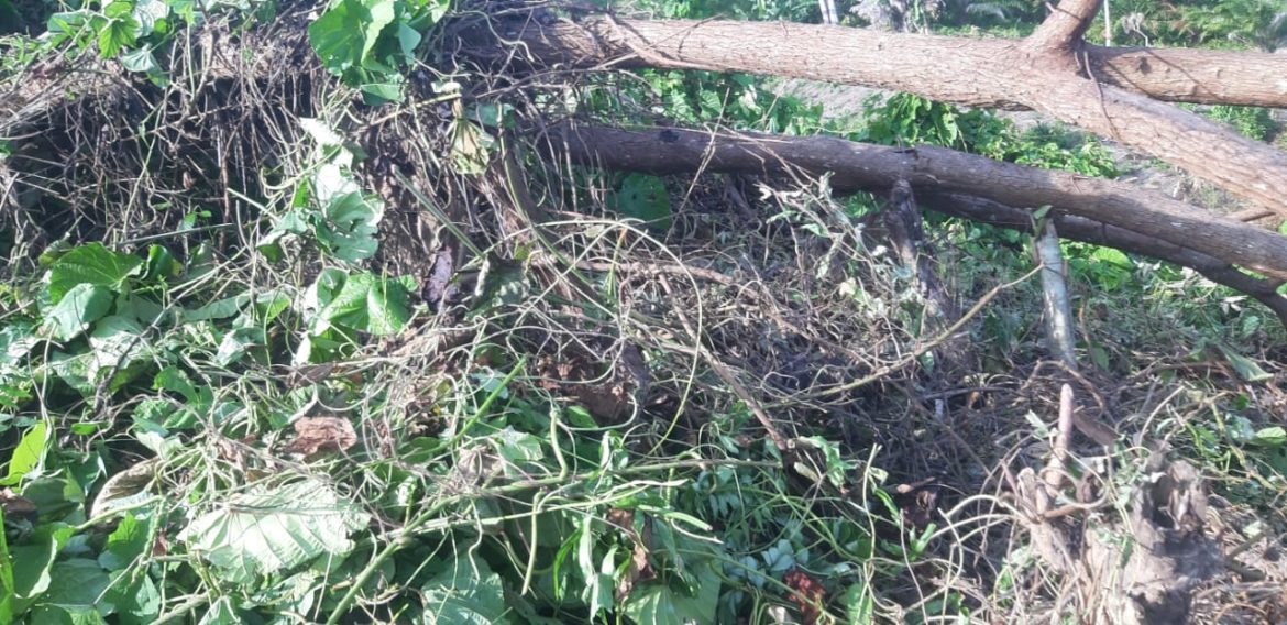 Kasus Perkara Lahan di Desa Doda Diduga Mangkrak di Polres Pasangkayu