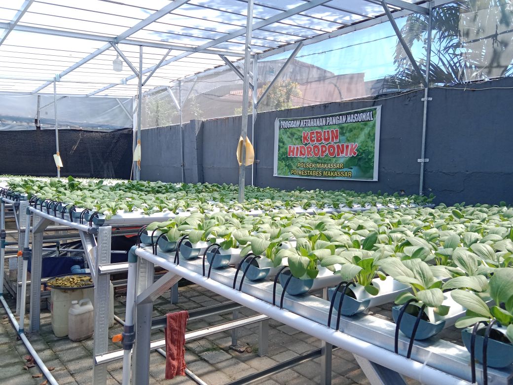 Wujudkan Ketahanan Pangan, Polsek Makassar Manfaatkan Teras Belakang