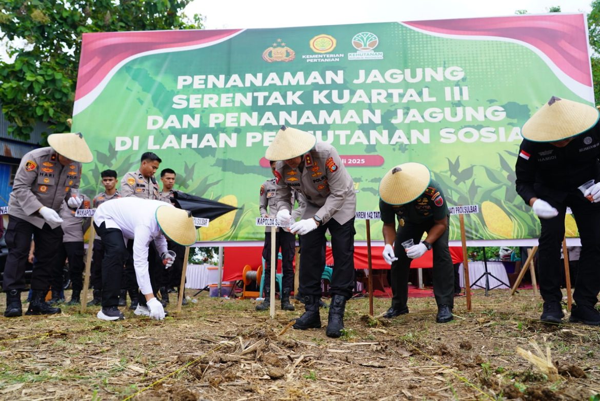 Polri Presisi Hadir di Ladang: Kapolda Sulbar Tanam Jagung Bersama Masyarakat