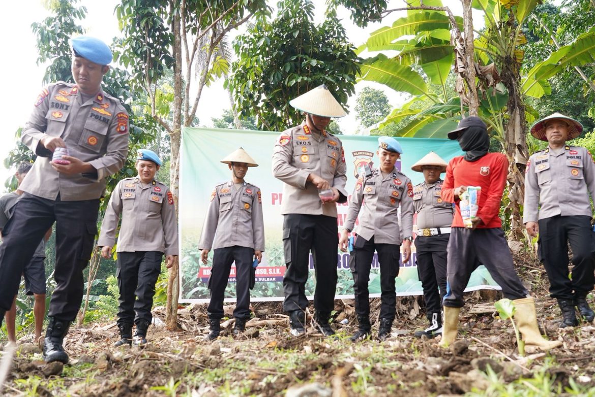 Kombes Eko Suroso Pimpin Aksi Tanam Jagung di Mamuju