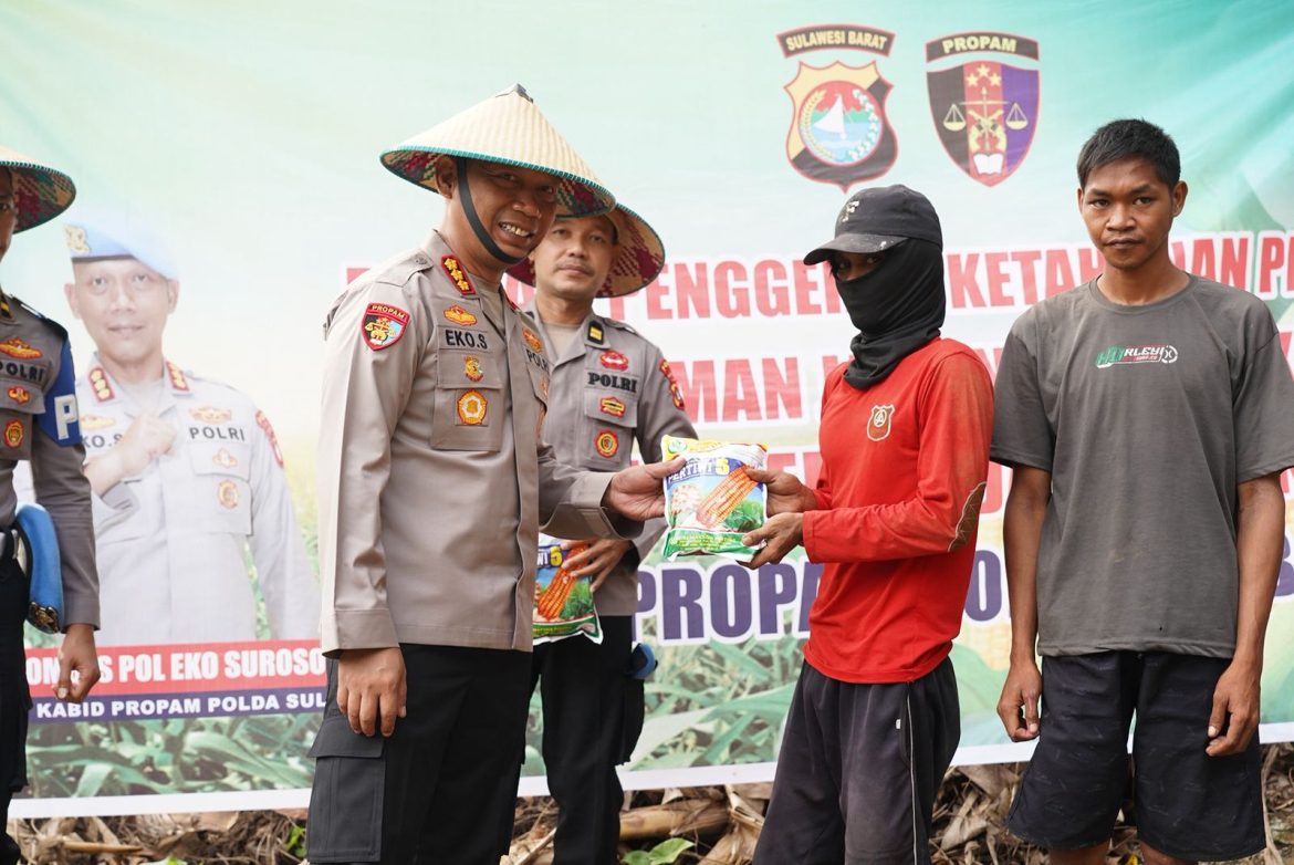 Polri Tanam, Petani Panen, Sulbar Maju