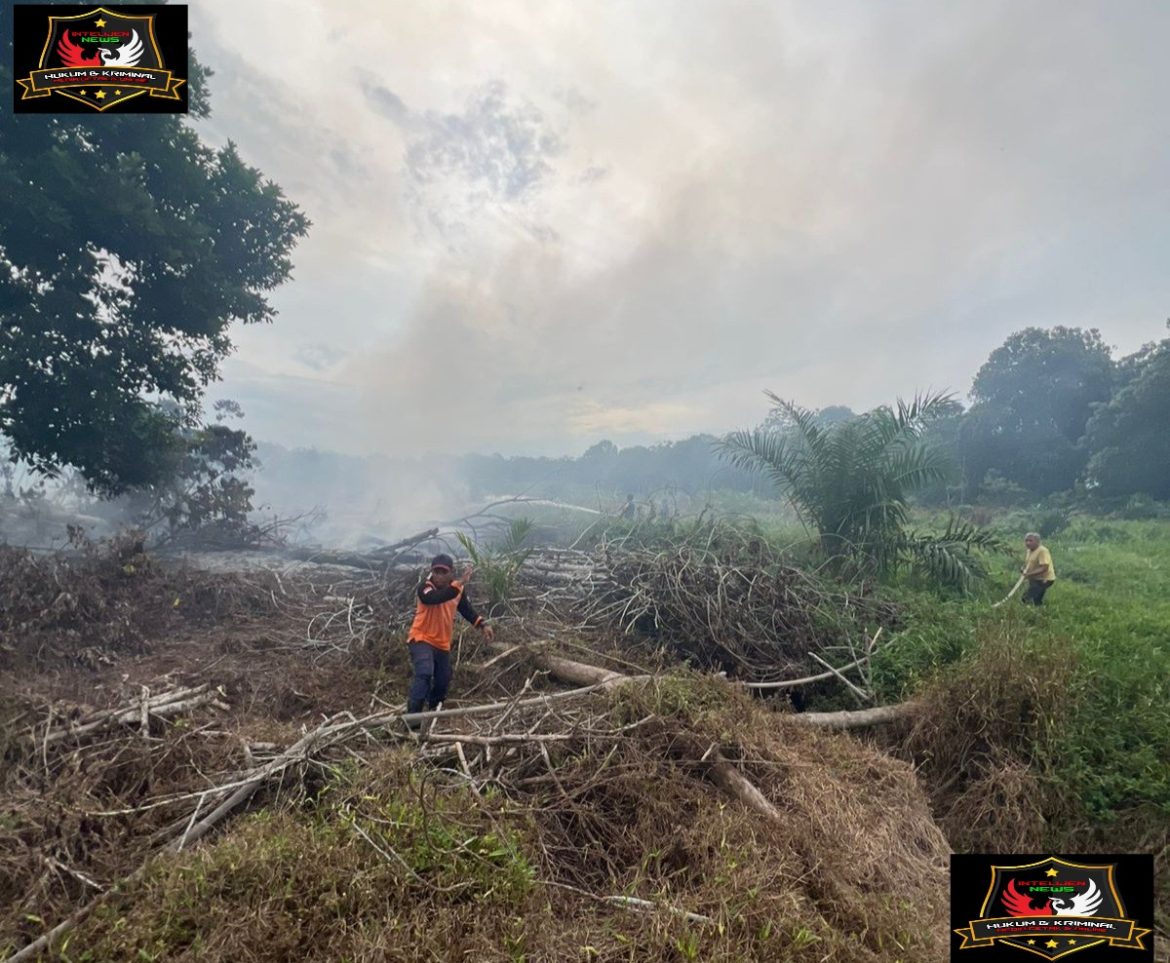KEBAKARAN HUTAN DAN LAHAN DI GAMPONG PEULANTE, KECAMATAN BUBON.