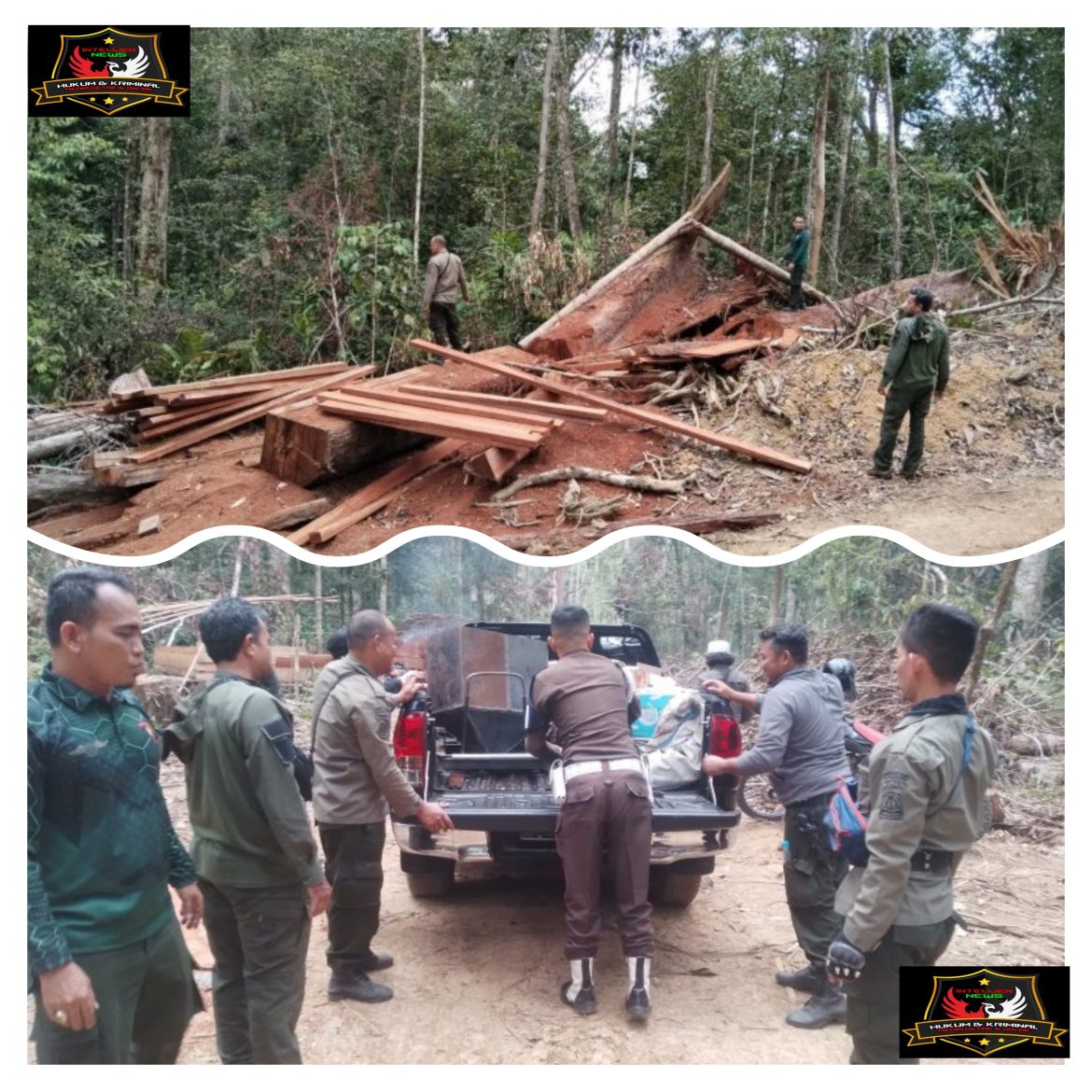 KPH Wilayah IV Bersama TNI–Polri Tindak Tegas Aktivitas Ilegal di Hutan Beutong.