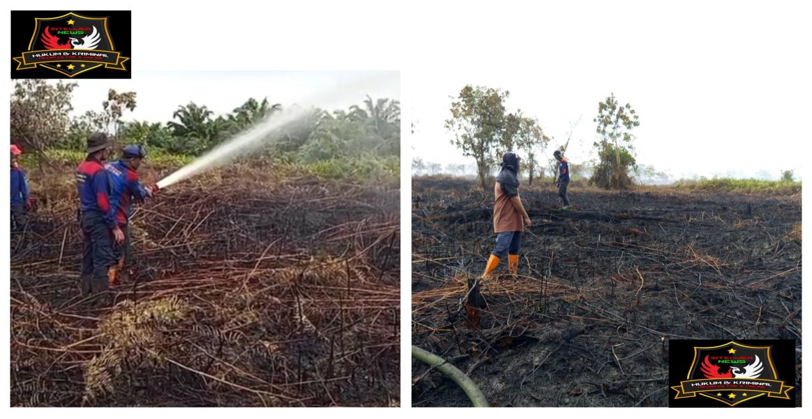 “Karhutla Mengancam Aceh Barat: 6,5 Hektare Terbakar, Tim Gabungan Berjuang di Medan Sulit”
