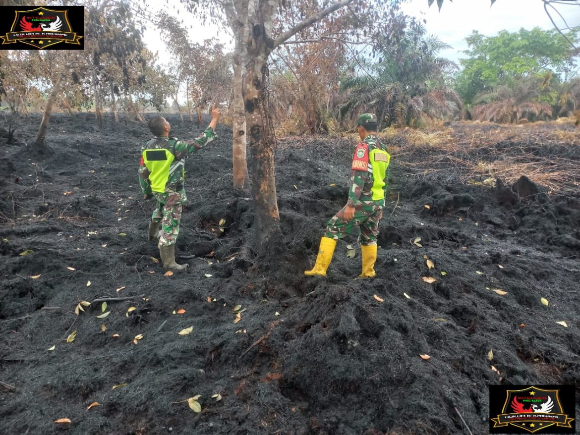 Gerak Cepat Tim BPBD Aceh Barat, Karhutla Padam 100%