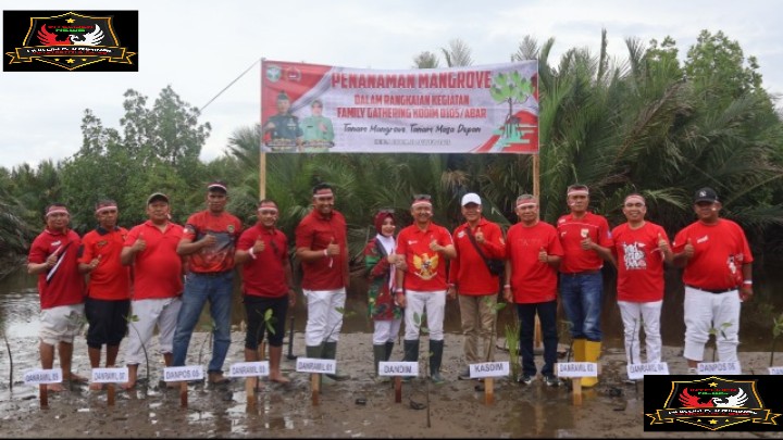 Kodim 0105/Abar Tanam 800 Bibit Mangrove di Pesisir Suak Timah: Wujud Nyata Cinta Lingkungan dan Komitmen TNI Jaga Ekosistem.