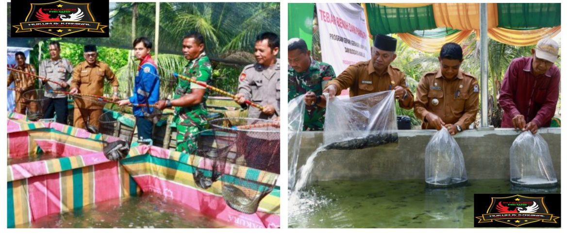 Pemkab Aceh Barat Apresiasi Program CSR PT Pertamina: Kepala DKP Hadiri Tebar Benih dan Panen Raya Ikan Lele.