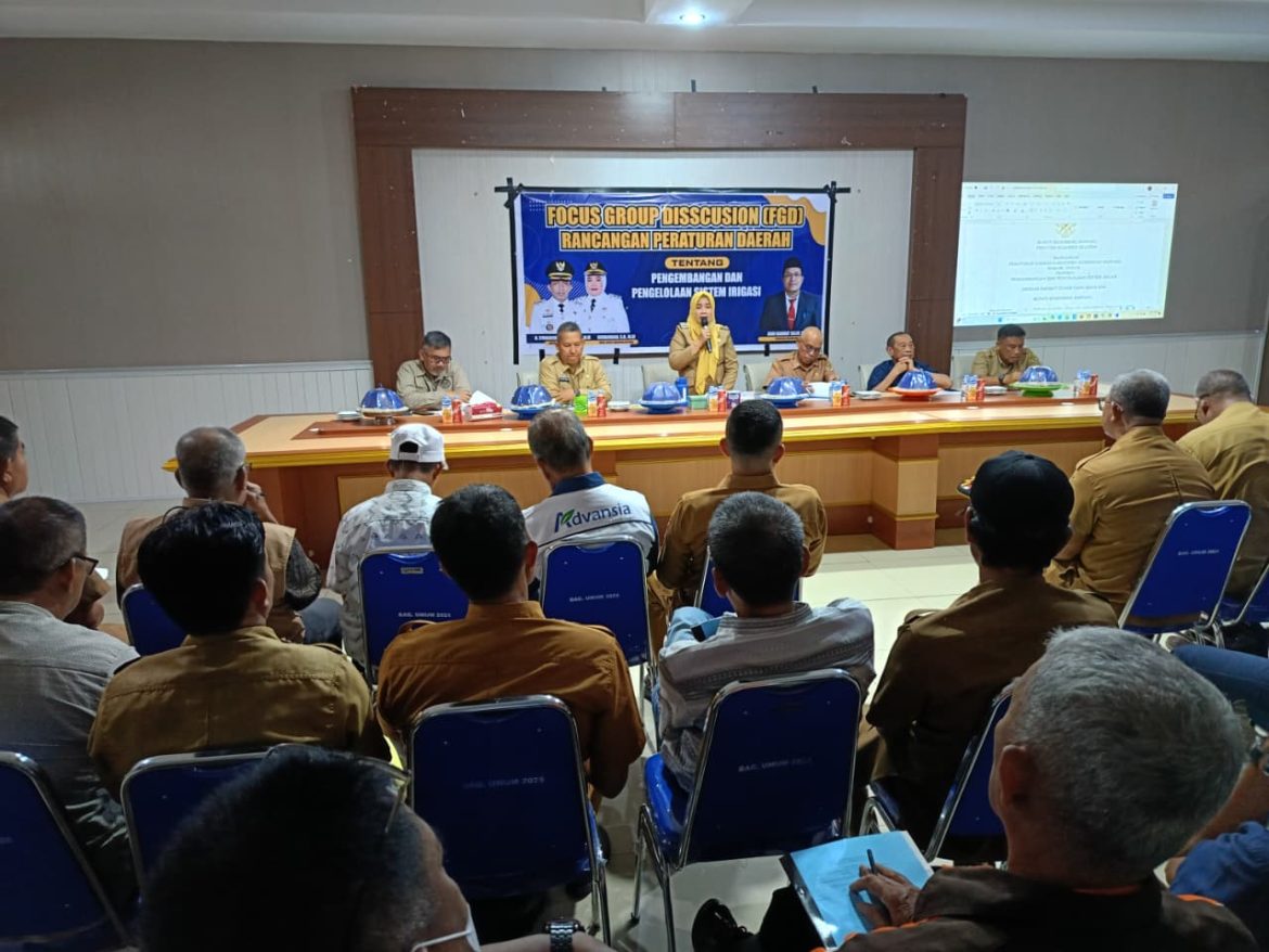 Pemkab Sidrap Kaji Ranperda Irigasi untuk Pengelolaan Air Terukur dan Berkesinambungan