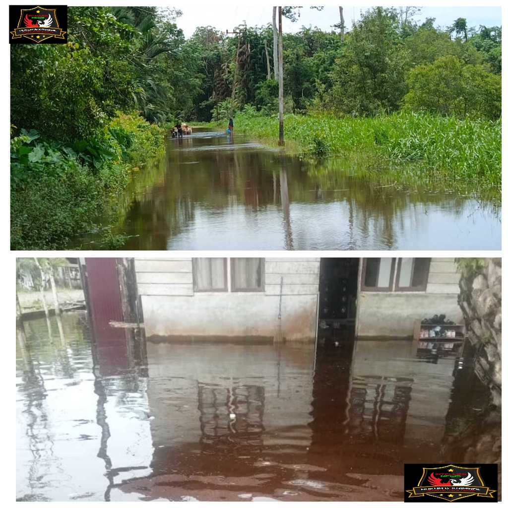 BANJIR LANDA SEJUMLAH WILAYAH DI ACEH BARAT, BPBD LAKUKAN PEMANTAUAN INTENSIF.