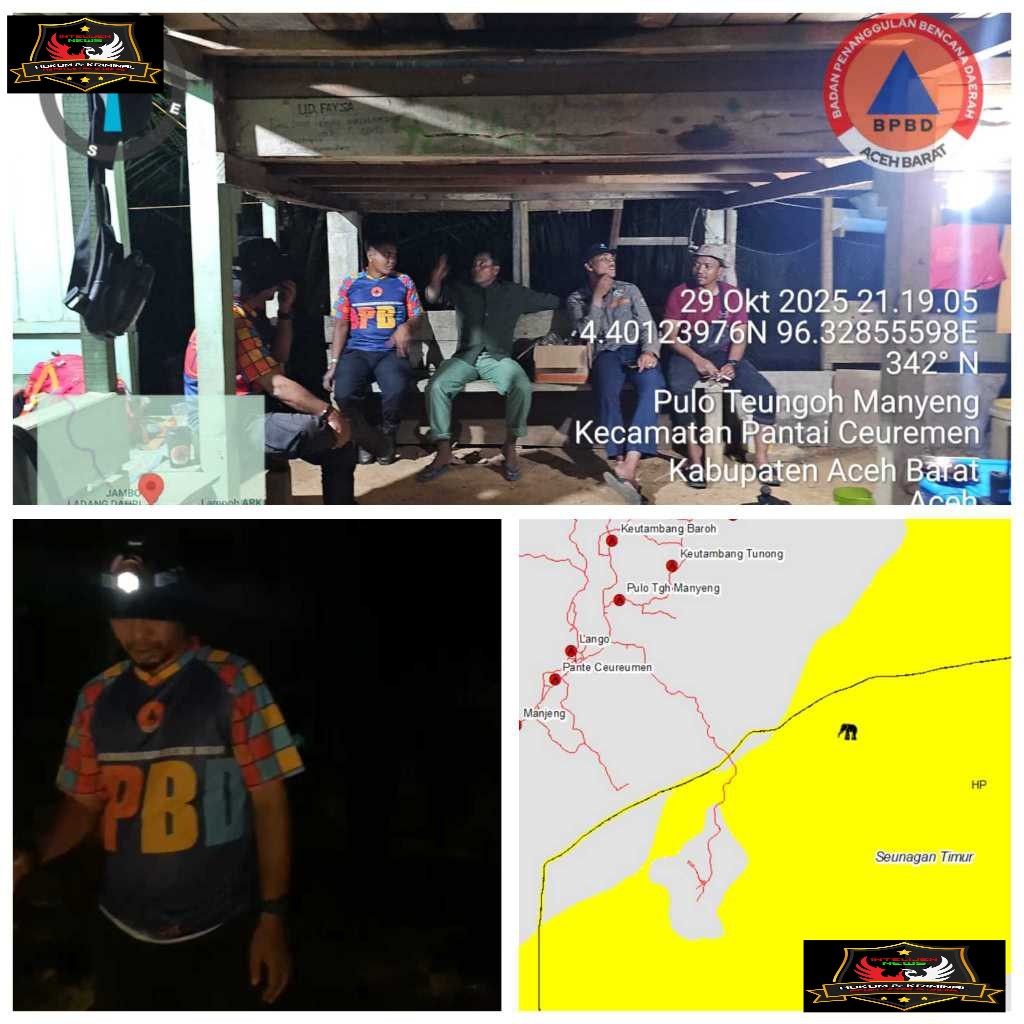 BPBD Aceh Barat Bersama BKSDA Aceh Tangani Interaksi Negatif Gajah Liar di Kawasan Perkebunan Babah Krueng Meulaboh