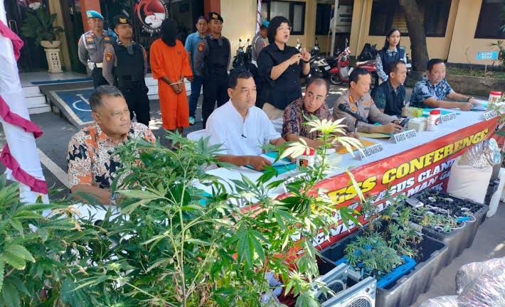 Terbongkar! Dua WNA Sulap Kontrakan di Denpasar Jadi Kebun Ganja Hidroponik Bernilai Miliaran