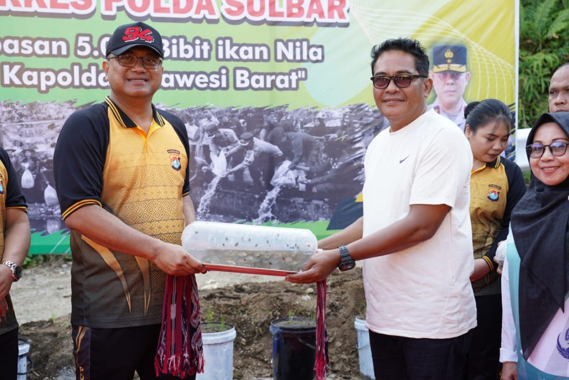 Kapolda Sulbar Irjen Pol Adi Deriyan: Dari Keamanan ke Ketahanan Pangan, Polda Sulbar Tebar 5.000 Ikan Nila