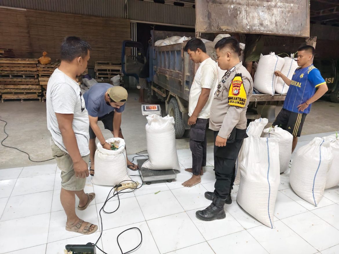 Bhabinkamtibmas Polsek Sarudu Dampingi Petani Jual Jagung ke Bulog, Total Hasil Panen Rp 14,4 Juta