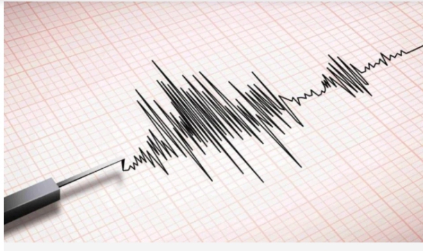 Gempa Bumi Magnitudo 7,1 Guncang Kepulauan Talaud, BMKG Pastikan Tidak Berpotensi Tsunami
