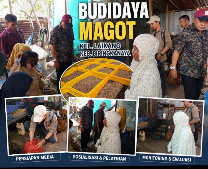 DLH Kota Makassar Perkuat Kolaborasi Pengelolaan Sampah Organik Berbasis Maggot, Pemerintah Kelurahan dan Tokoh Masyarakat Laikang Siap Wujudkan Lingkungan Bersih Berkelanjutan