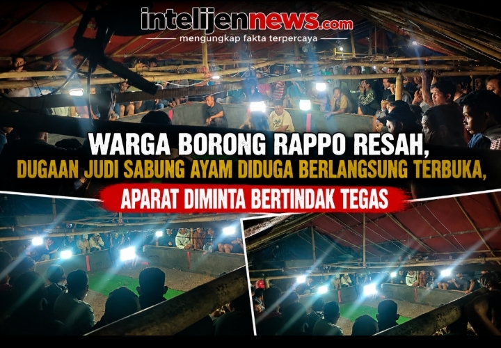 Warga Borong Rappo Resah, Dugaan Praktik Judi Sabung Ayam Diduga Berlangsung Terbuka, Aparat Diminta Bertindak Tegas