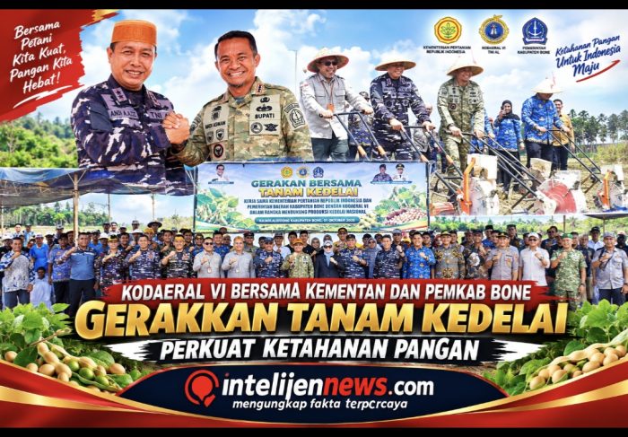 Kodaeral VI Bersama Kementan dan Pemkab Bone Gerakkan Tanam Kedelai, Perkuat Ketahanan Pangan